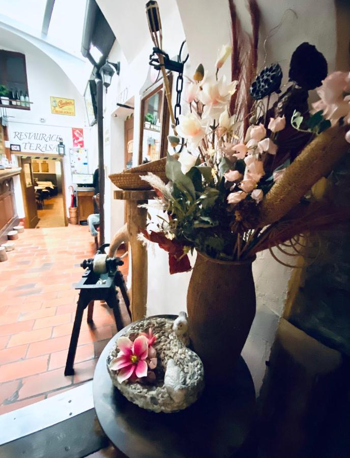 Hotel Kristinka Český Krumlov Esterno foto